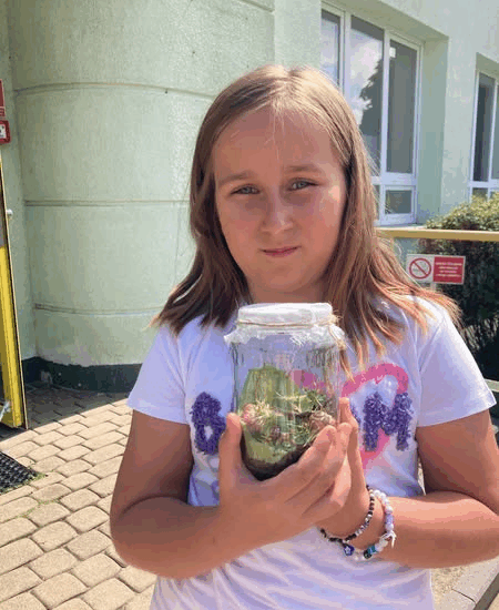 Pudełka dobrych myśli, motylarnia i słoiki z naturą